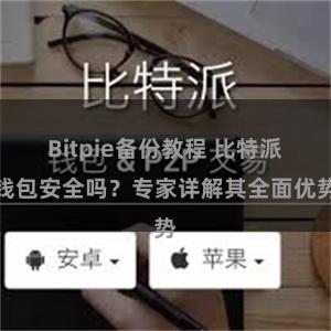 Bitpie备份教程 比特派钱包安全吗？专家详解其全面优势