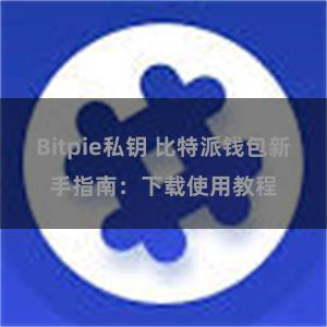 Bitpie私钥 比特派钱包新手指南：下载使用教程