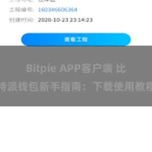 Bitpie APP客户端 比特派钱包新手指南：下载使用教程