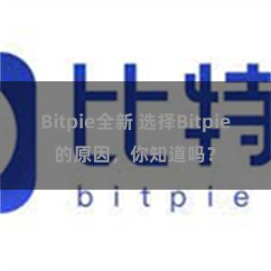 Bitpie全新 选择Bitpie的原因，你知道吗？