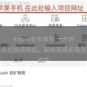 Bitpie安全教程 一分钟上手比特派钱包，轻松管理多链资产