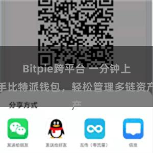 Bitpie跨平台 一分钟上手比特派钱包，轻松管理多链资产