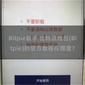 Bitpie新手 比特派钱包(Bitpie)的官方教程在哪里？