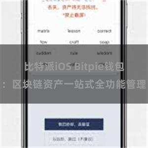 比特派iOS Bitpie钱包：区块链资产一站式全功能管理