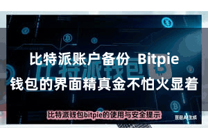 比特派账户备份  Bitpie钱包的界面精真金不怕火显着