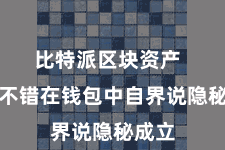 比特派区块资产  用户不错在钱包中自界说隐秘成立